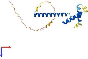 AlphaFold protein structure predicition of Mouse Recombinant Twist2 Protein, UniprotID Q9D030