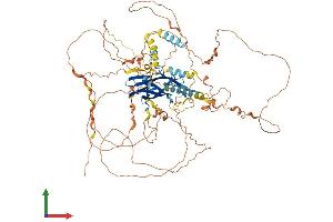 AlphaFold protein structure predicition of Mouse Recombinant Ppp1r3f Protein, UniprotID Q9JIG4