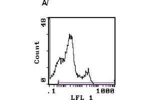 Image no. 2 for anti-CD3 (CD3) antibody (FITC) (ABIN114136) (CD3 anticorps  (FITC))