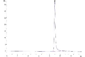 The purity of Cynomolgus IL-17F is greater than 95 % as determined by SEC-HPLC.