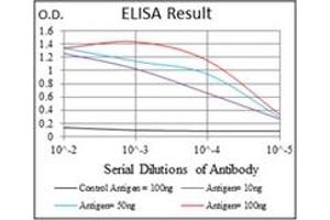 ELISA image for anti-Ribosomal Protein S6 Kinase, 70kDa, Polypeptide 1 (RPS6KB1) antibody (ABIN1108904) (RPS6KB1 anticorps)