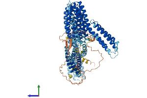 AlphaFold protein structure predicition of Human Recombinant CTNNA2 Protein, UniprotID P26232