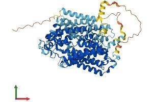 AlphaFold protein structure predicition of Human Recombinant SLC5A2 Protein, UniprotID P31639
