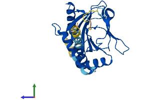 AlphaFold protein structure predicition of Human Recombinant EGLN3 Protein, UniprotID Q9H6Z9
