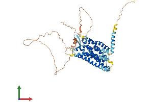 AlphaFold protein structure predicition of Human Recombinant C3AR1 Protein, UniprotID Q16581