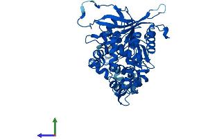 AlphaFold protein structure predicition of Human Recombinant EPHX1 Protein, UniprotID P07099