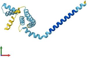AlphaFold protein structure predicition of Human Recombinant REEP5 Protein, UniprotID Q00765