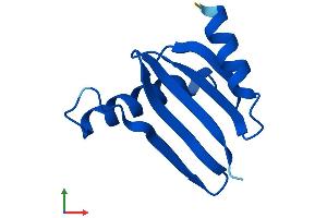 AlphaFold protein structure predicition of Human Recombinant LAMTOR5 Protein, UniprotID O43504