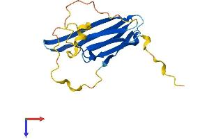 AlphaFold protein structure predicition of Human Recombinant HSPB6 Protein, UniprotID O14558