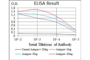 Red: Control Antigen (100ng) ; Purple: Antigen (10ng) ; Green: Antigen (50ng) ; Blue: Antigen (100ng). (Sonic Hedgehog anticorps  (AA 26-161))
