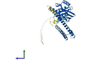 AlphaFold protein structure predicition of Human Recombinant COPS6 Protein, UniprotID Q7L5N1