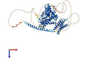 AlphaFold protein structure predicition of Human Recombinant GIT1 Protein, UniprotID Q9Y2X7