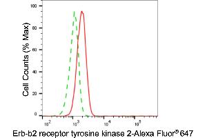 Flow cytometric analysis of Erb-b2 receptor tyrosine kinase 2 expression in H9c2 cells using Erb-b2 receptor tyrosine kinase 2 antibody (ABIN7800157), 1:2,000). (ErbB2/Her2 anticorps)