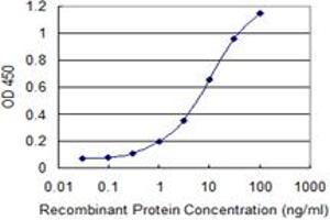 Detection limit for recombinant GST tagged IMPA1 is 0. (IMPA1 anticorps  (AA 1-277))