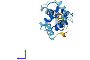 AlphaFold protein structure predicition of Human Recombinant CALML3 Protein, UniprotID P27482
