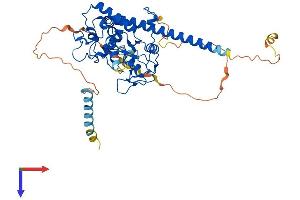 AlphaFold protein structure predicition of Human Recombinant HS6ST3 Protein, UniprotID Q8IZP7