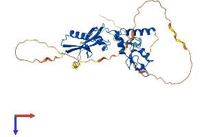 AlphaFold protein structure predicition of Human Recombinant PCGF2 Protein, UniprotID P35227