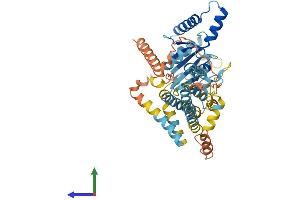 AlphaFold protein structure predicition of Human Recombinant IRGC Protein, UniprotID Q6NXR0