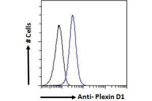 ABIN185358 Flow cytometric analysis of paraformaldehyde fixed K562 cells (blue line), permeabilized with 0. (PLXND1 anticorps  (Internal Region))