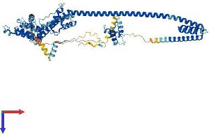 AlphaFold protein structure predicition of Mouse Recombinant Dnajc2 Protein, UniprotID P54103