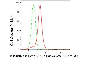 Flow cytometric analysis of Katanin catalytic subunit A1 expression in HeLa cells using Katanin catalytic subunit A1 antibody (ABIN7800946), 1:2,000). (Recombinant KATNA1 anticorps)