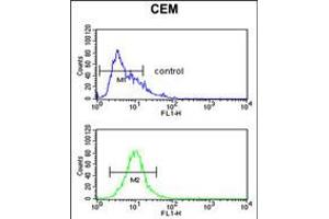 Flow cytometric analysis of CEM cells (bottom histogram) compared to a negative control cell (top histogram).