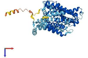 AlphaFold protein structure predicition of Mouse Recombinant Slc7a9 Protein, UniprotID Q9QXA6