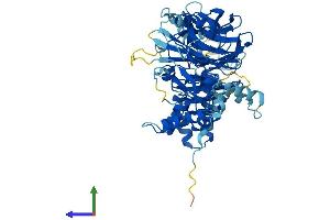 AlphaFold protein structure predicition of Human Recombinant DET1 Protein, UniprotID Q7L5Y6