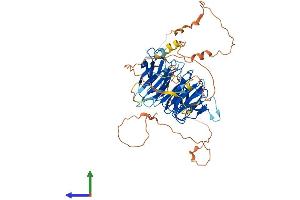 AlphaFold protein structure predicition of Human Recombinant DCAF10 Protein, UniprotID Q5QP82
