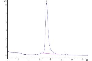 The purity of Mouse GFRAL is greater than 95 % as determined by SEC-HPLC.