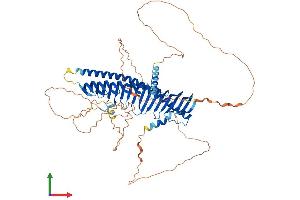 AlphaFold protein structure predicition of Mouse Recombinant Jph1 Protein, UniprotID Q9ET80