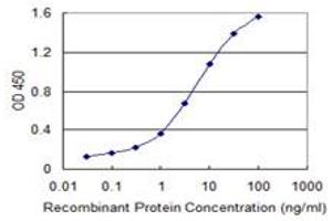 anti-C-Myc Binding Protein (MYCBP) (AA 34-103) antibody