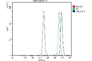 Flow Cytometry analysis of Daudi cells using anti-ONECUT1 antibody (ABIN7599190).