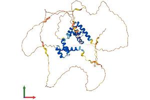 AlphaFold protein structure predicition of Human Recombinant POU2F2 Protein, UniprotID P09086