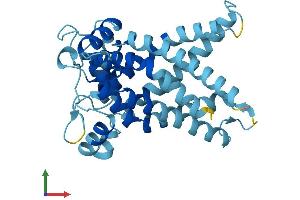 AlphaFold protein structure predicition of Mouse Recombinant Slc25a35 Protein, UniprotID Q5SWT3
