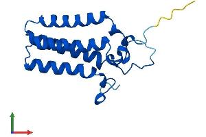 AlphaFold protein structure predicition of Human Recombinant ORMDL3 Protein, UniprotID Q8N138