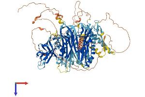 C2 Calcium Dependent Domain Containing 5 (C2CD5) (AA 1-1016) protein (His tag)