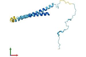 AlphaFold protein structure predicition of Mouse Recombinant Snca Protein, UniprotID O55042