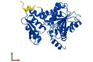 AlphaFold protein structure predicition of Human Recombinant SDSL Protein, UniprotID Q96GA7
