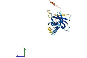 AlphaFold protein structure predicition of Mouse Recombinant Ddit4l Protein, UniprotID Q8VHZ5