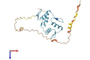 AlphaFold protein structure predicition of Human Recombinant ZFP41 Protein, UniprotID Q8N8Y5