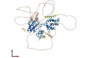 AlphaFold protein structure predicition of Mouse Recombinant Zfyve28 Protein, UniprotID Q6ZPK7