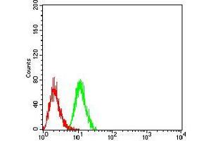 Flow cytometric analysis of Hela cells using PSMC3 mouse mAb (green) and negative control (red).