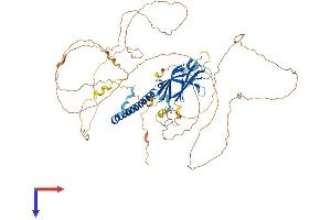 AlphaFold protein structure predicition of Human Recombinant RAB11FIP5 Protein, UniprotID Q9BXF6