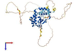 AlphaFold protein structure predicition of Human Recombinant NFIB Protein, UniprotID O00712