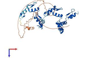 AlphaFold protein structure predicition of Human Recombinant ZNF121 Protein, UniprotID P58317