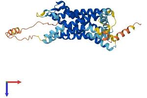 AlphaFold protein structure predicition of Mouse Recombinant Cxcr5 Protein, UniprotID Q04683