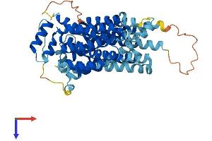 AlphaFold protein structure predicition of Human Recombinant SLC2A8 Protein, UniprotID Q9NY64