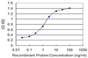 Detection limit for recombinant GST tagged IL23R is 0. (IL23R anticorps  (AA 553-628))