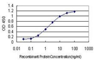 Detection limit for recombinant GST tagged NUP62 is approximately 0.